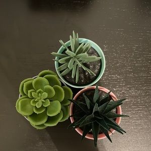 Plastic decor for office or small spaces